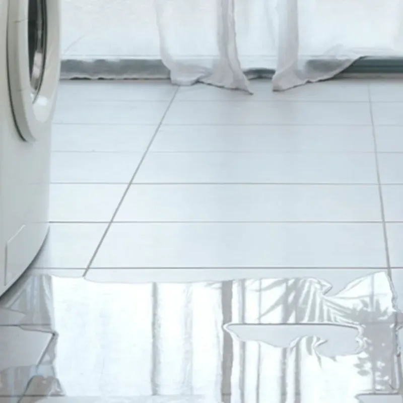 Appliance Leak Cleanup in North Redington Beach, FL