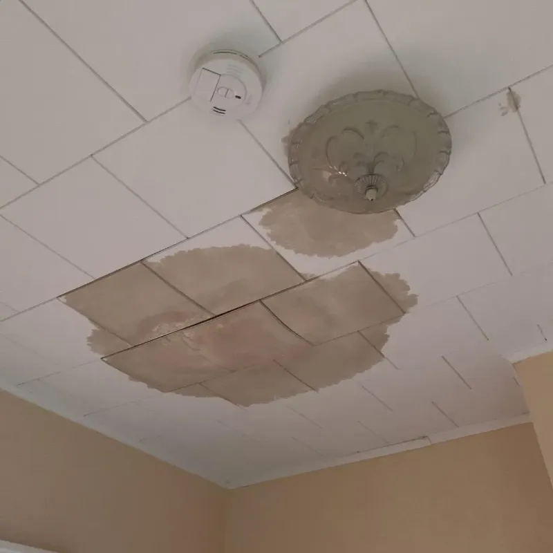 Ceiling Water Damage Repair in North Redington Beach, FL