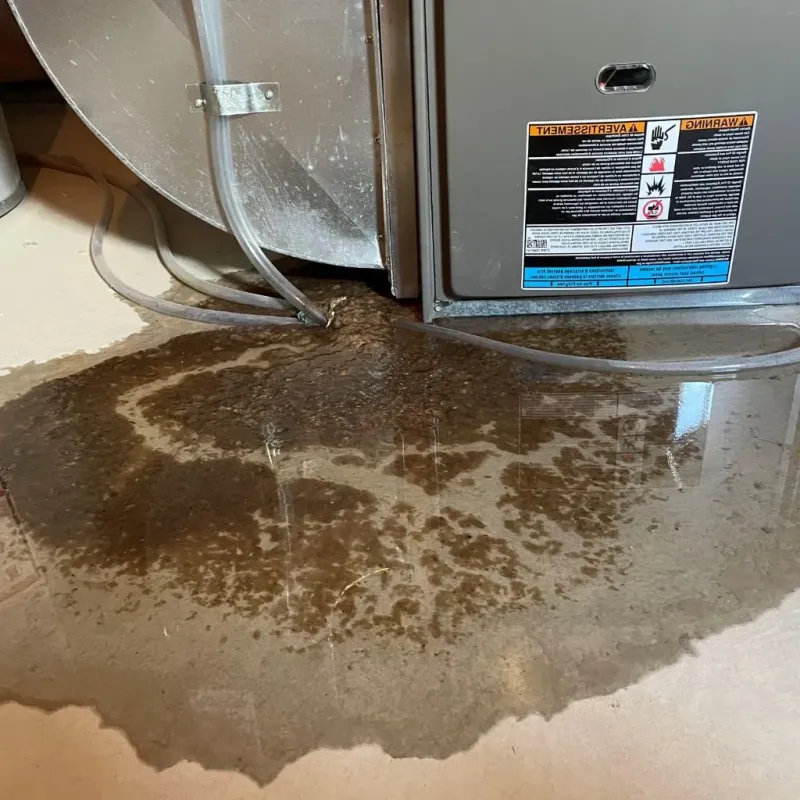Pipe Burst and Leak Restoration in North Redington Beach, FL